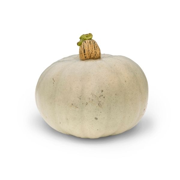 Winter Squash - Crown Prince F1 - Tozer