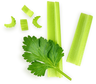 Assorted celery sticks and chopped