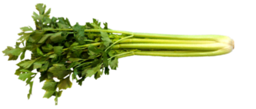 Julius celery
