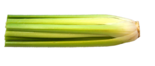 Monterey celery