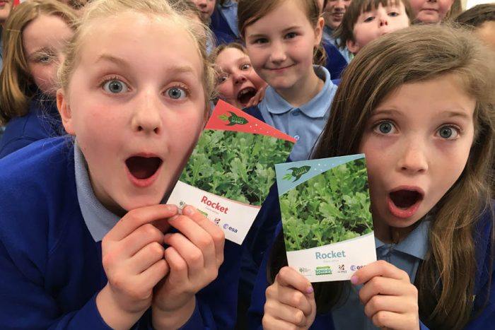 West Felton Primary School with rocket seeds