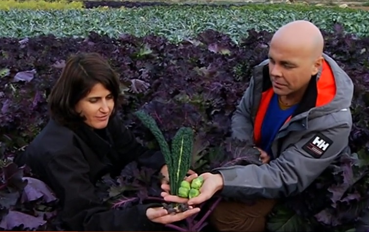 Tozer Ibérica on Spanish TV