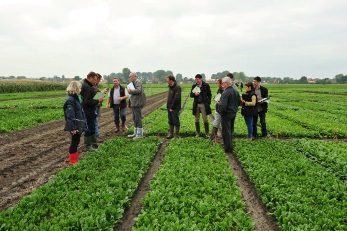 Pop Vriend Spinach Trial