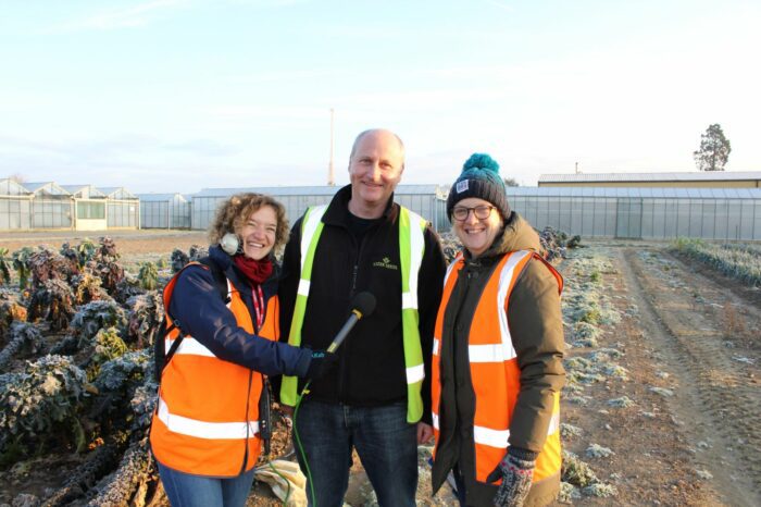 BBC Radio 4 Farming Toady - Kalettes