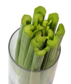 Celery Hadrian