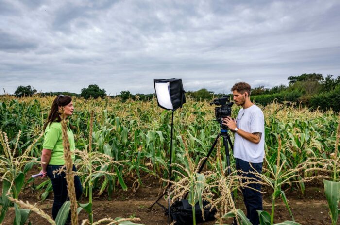 Charlotte Wheeler in Sweetcorn trial