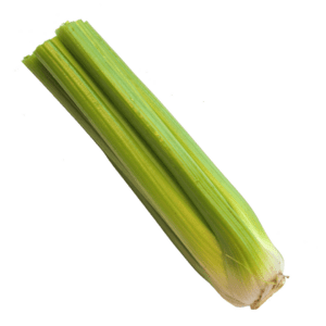 Celery Hadrian F1