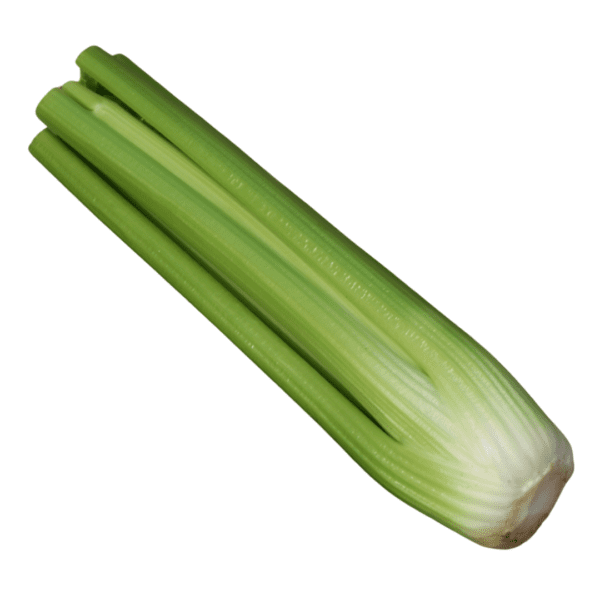 Celery Julius F1