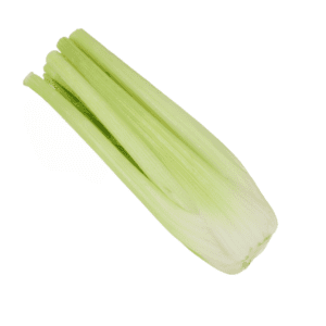 Celery Loretta F1