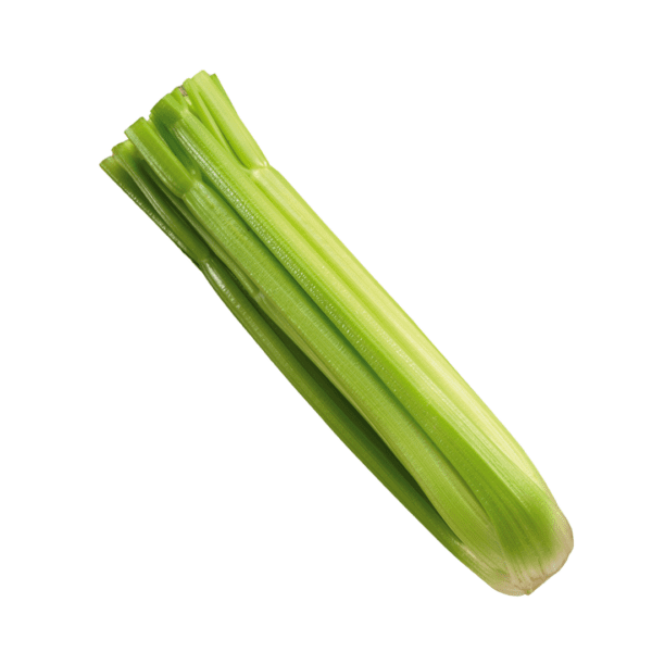 Celery Monterey F1