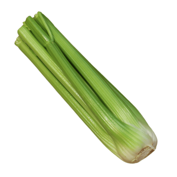 Celery Remus F1