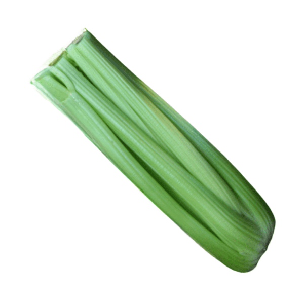 Celery Octavius F1