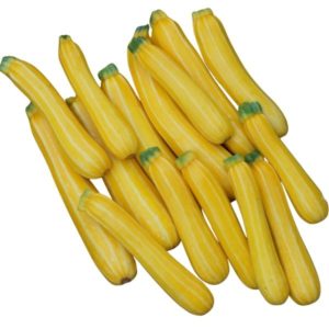 Golden Yellow Zucchini Sunstripe