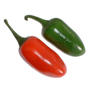Chilli Pepper Jalapeno M