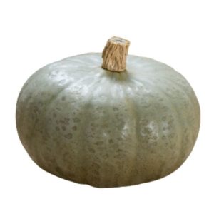 Winter Squash - Winter Sweet Sombra F1