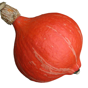 Winter Squash Onion