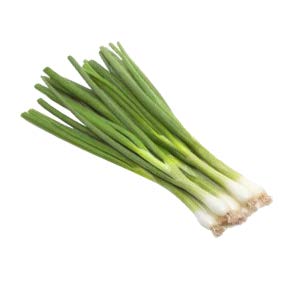 Salad Onion Ramrod