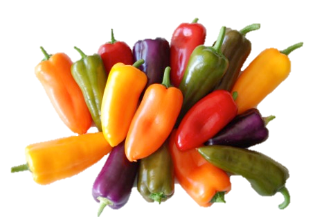 Snack Peppers
