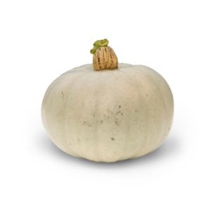 attractive steel grey squash Crown Prince