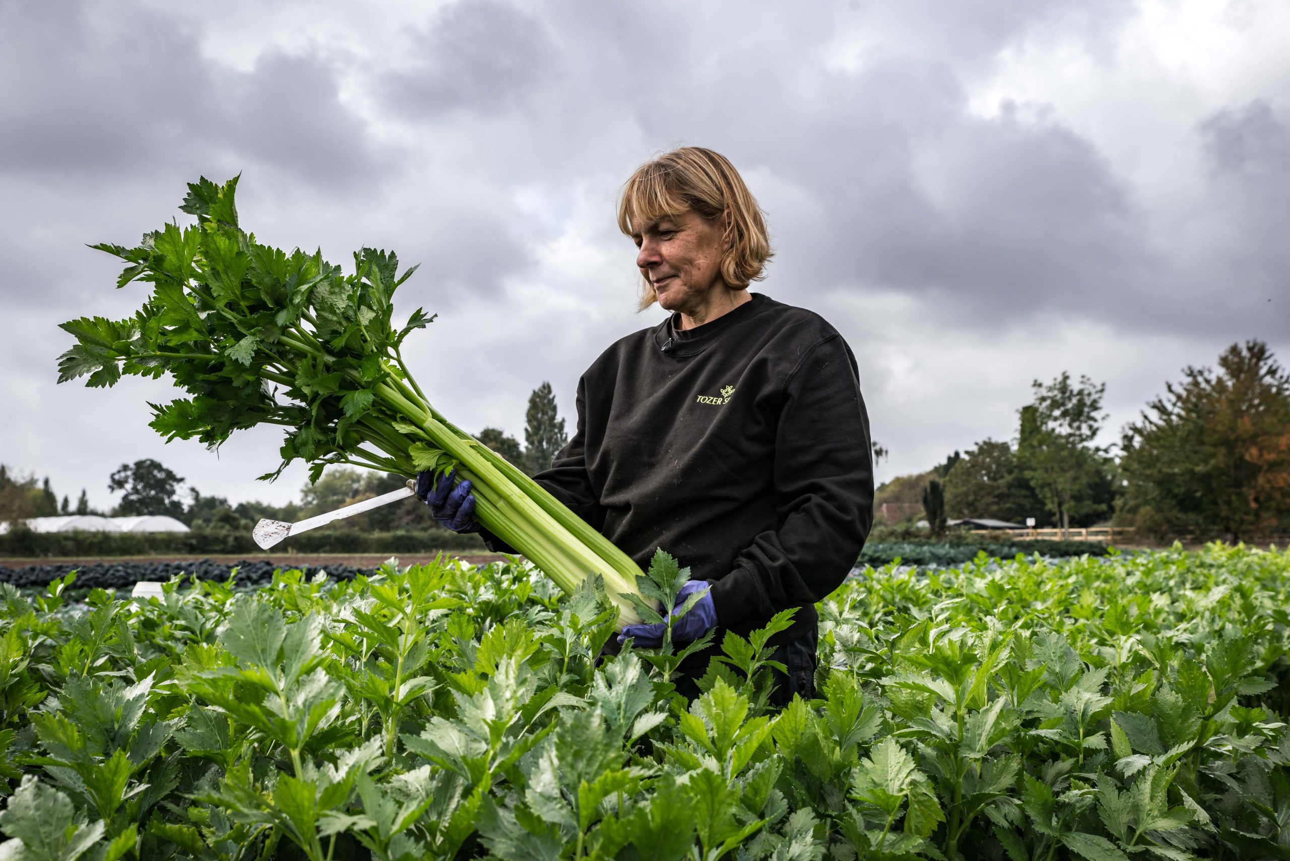 Cutting edge genomic tools to accelerate Tozer’s plant breeding programs.