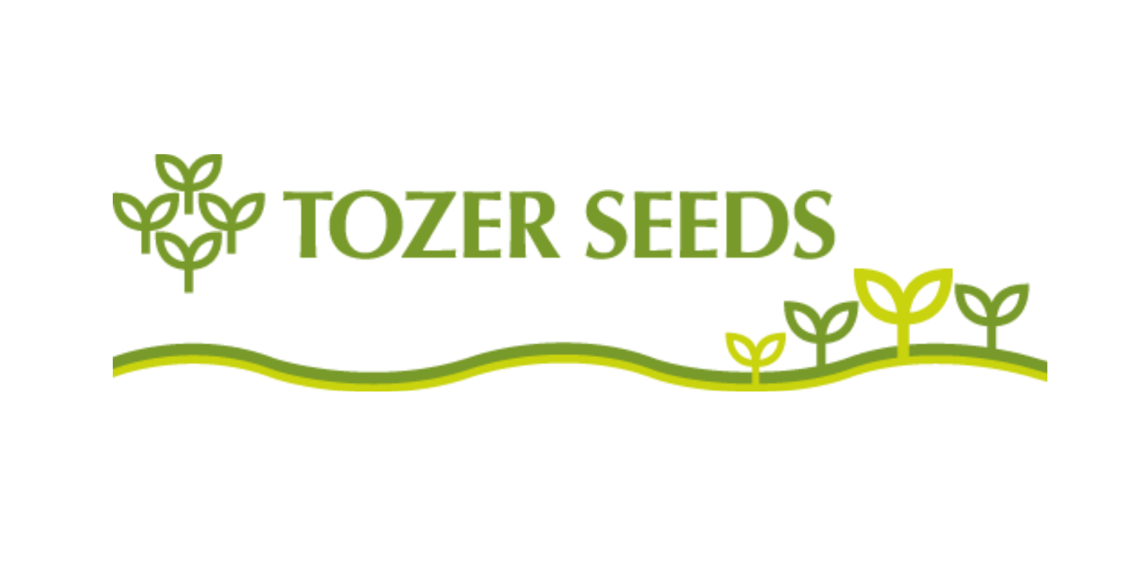 Tozer Seeds y el Coronavirus