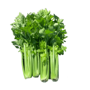 Celery Goodwin TZ 7708