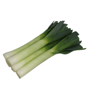 Leek Canterbury F1