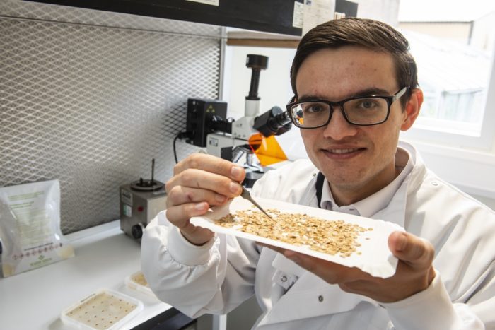 Dr Matthew Walker - with parsnip seed