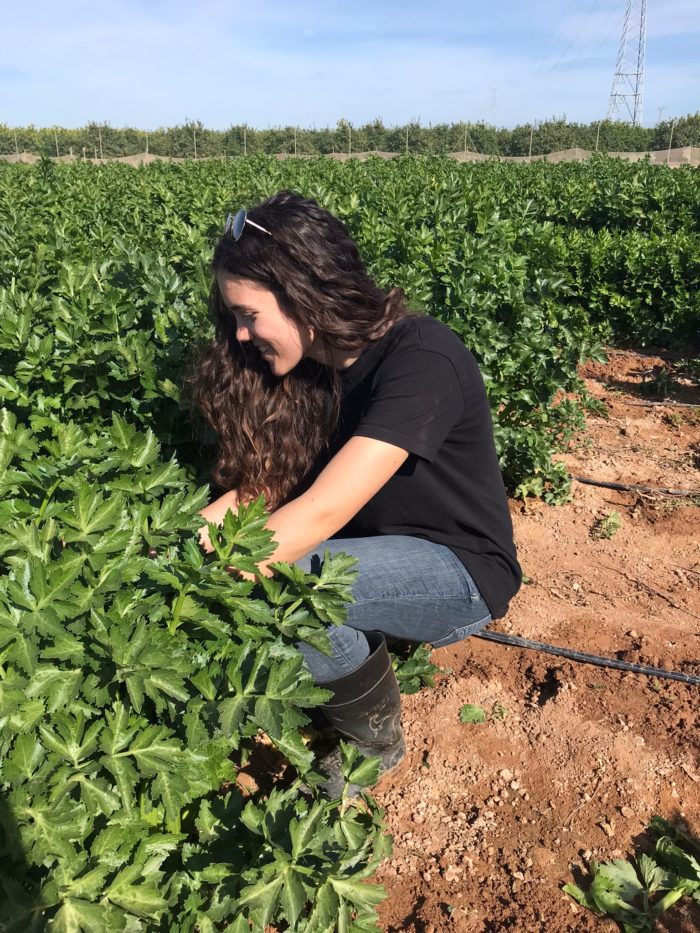 Gema Martinez Plant Breeder