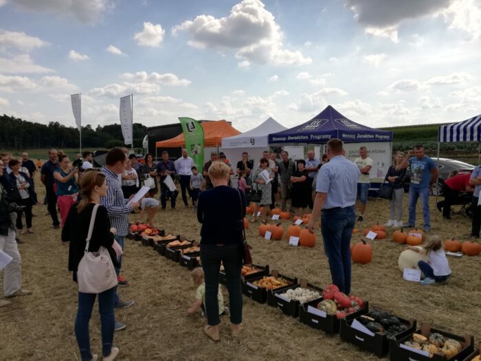 Pumpkin and Squash Open Day Krakow 2018