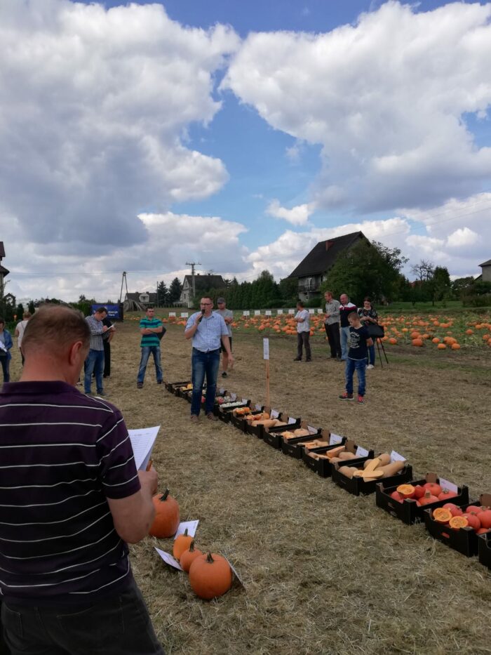 Pumpkin and Squash Open Day Krakow 2018