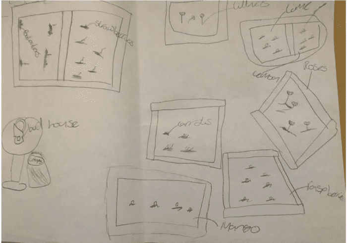 Drawing of a possible planting plan for the Growing Wild Citizens project in Southampton Primary schools