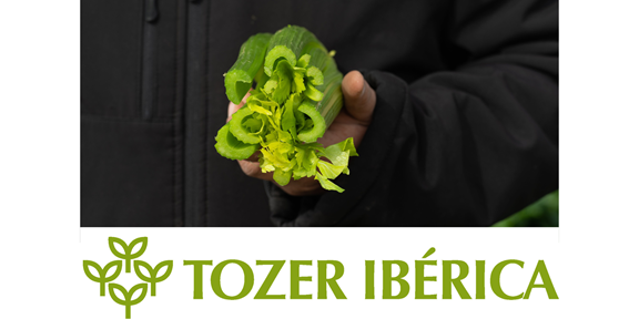 Tozer Ibérica crece un 20% en 2023