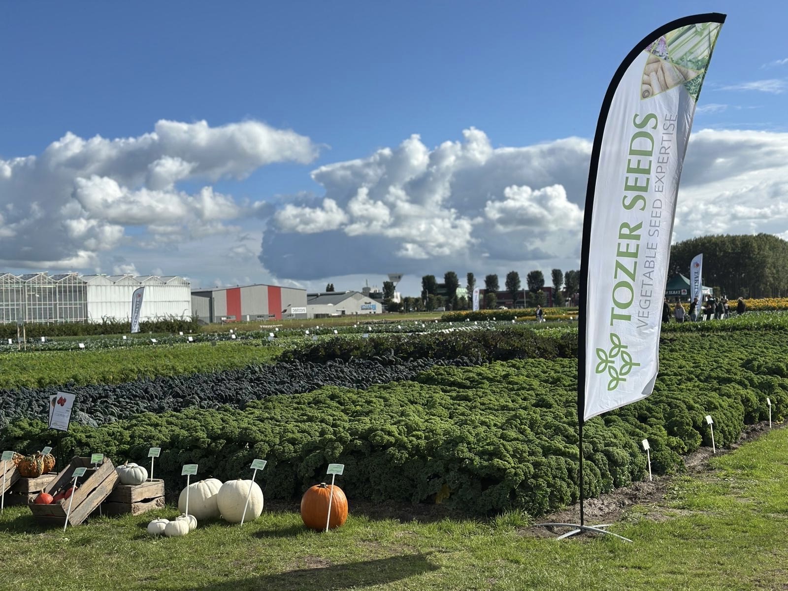 Tozer Showcased Over 100 Innovative Vegetable Varieties at Dutch Field Trials 2025